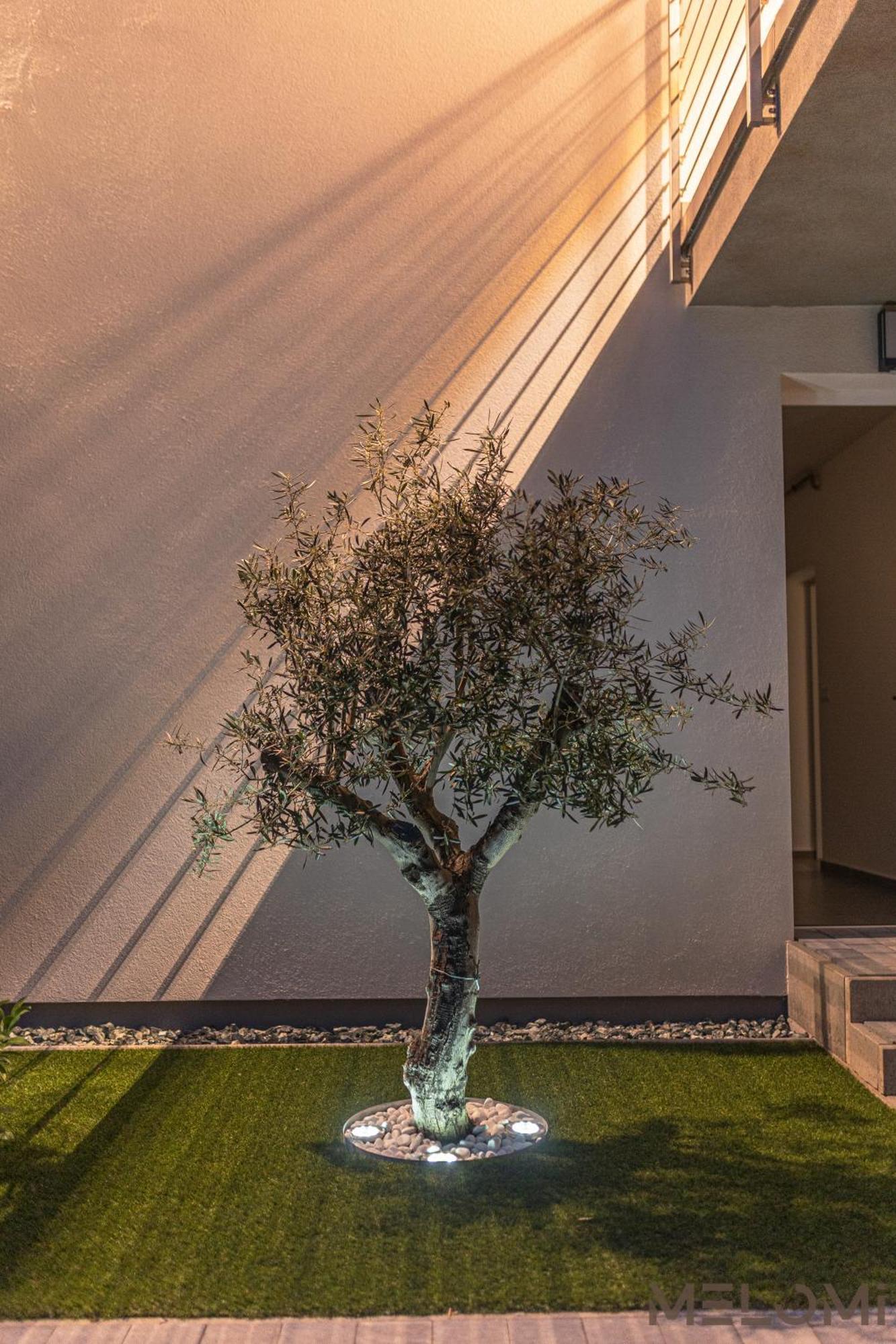 Melomi 1 Apartman Sárvár Dış mekan fotoğraf